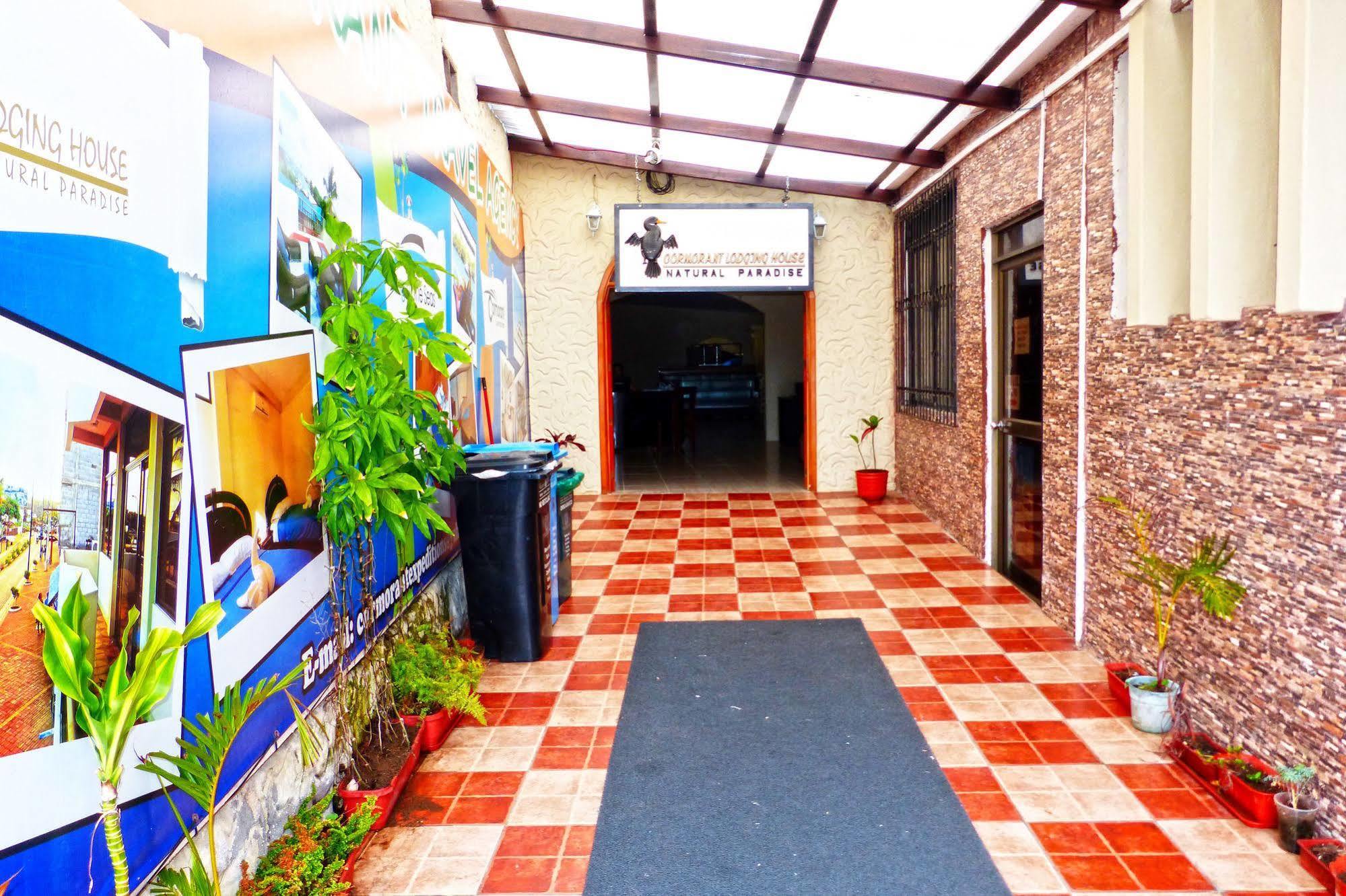 Hostal Cormorant Flightless بويرتو أيورا المظهر الخارجي الصورة